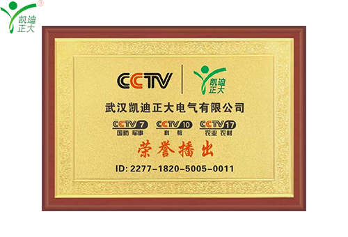 凱迪正大登上CCTV央視廣告，全力打造品牌新高度